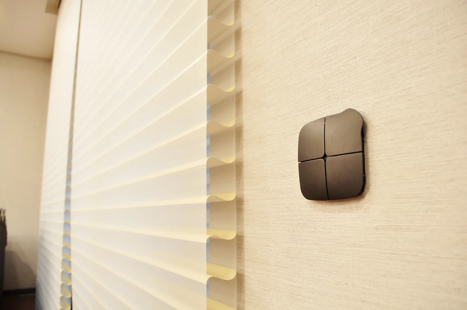 Wall mounted control switch beside a window shade at Templer Heights